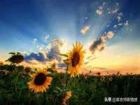 商河永图广告传媒有限公司