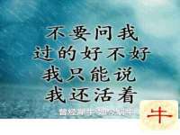 商河永图广告传媒有限公司