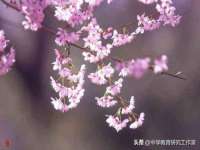 商河永图广告传媒有限公司