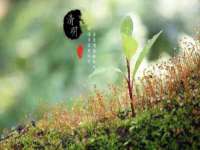 商河永图广告传媒有限公司