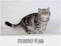 商河永图广告传媒有限公司