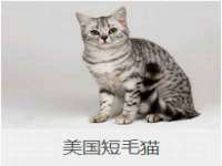 商河永图广告传媒有限公司
