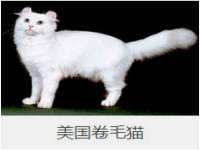 商河永图广告传媒有限公司