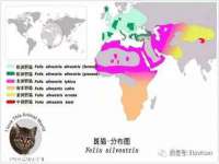 商河永图广告传媒有限公司
