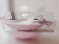 商河永图广告传媒有限公司