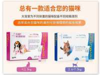 商河永图广告传媒有限公司