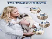 商河永图广告传媒有限公司