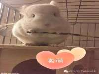 商河永图广告传媒有限公司