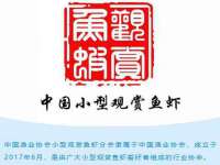 商河永图广告传媒有限公司
