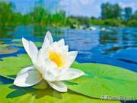 商河永图广告传媒有限公司
