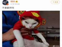 商河永图广告传媒有限公司